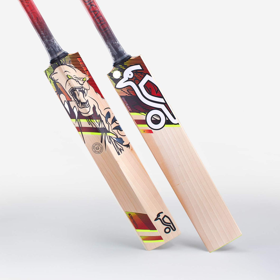 KOOKABURRA CRICKET BAT BEAST 6.2 SHORT HAND