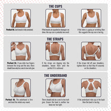 Load image into Gallery viewer, SHOCK ABSORBER ACTIVE PADDED BRA BLACK
