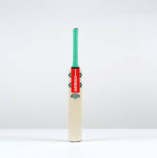 GRAY NICOLLS VENTUS 1.0 WARRIOR PP CRICKET BAT